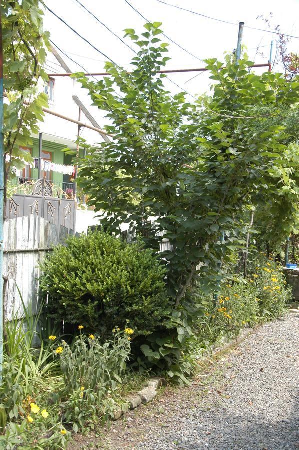 Guest House Barbi Batumi Exterior photo