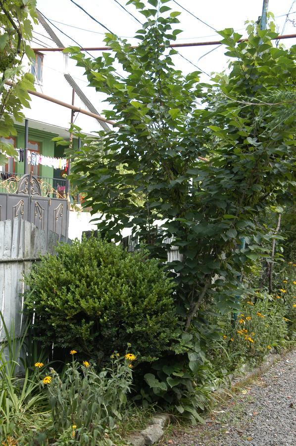 Guest House Barbi Batumi Exterior photo